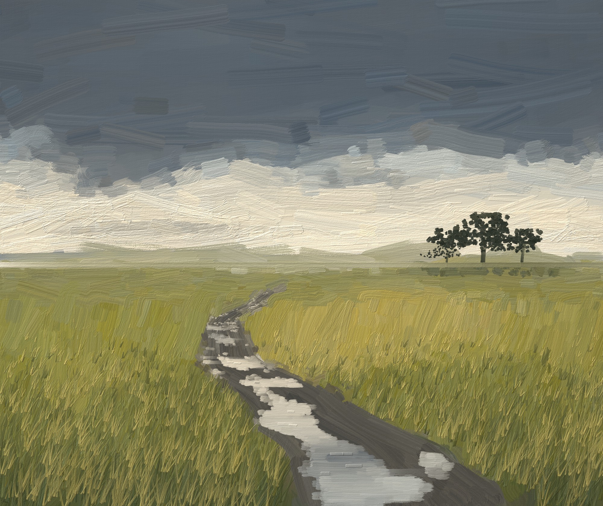 Garry Point, After Rain: slate sky over green-gold marsh grass.